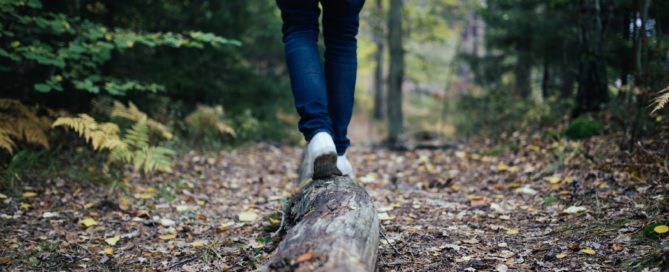 Person walking a forest trail