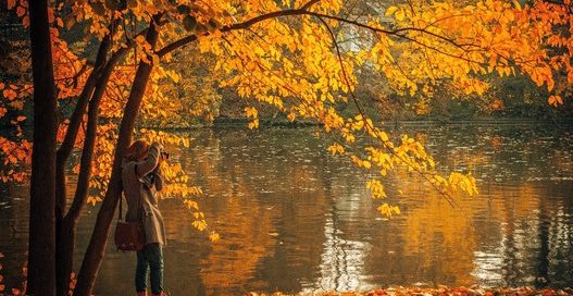 Photographer taking lakeside photos in autumn.