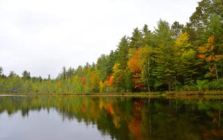 Autumn forest reflected in lake.