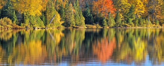 Autumn forest reflected in lake.
