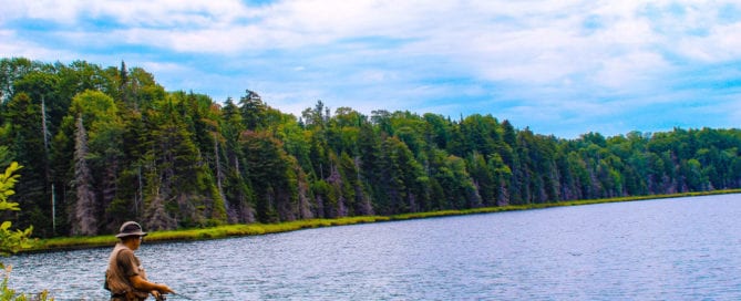 Man fly fishing off the lakeshore.