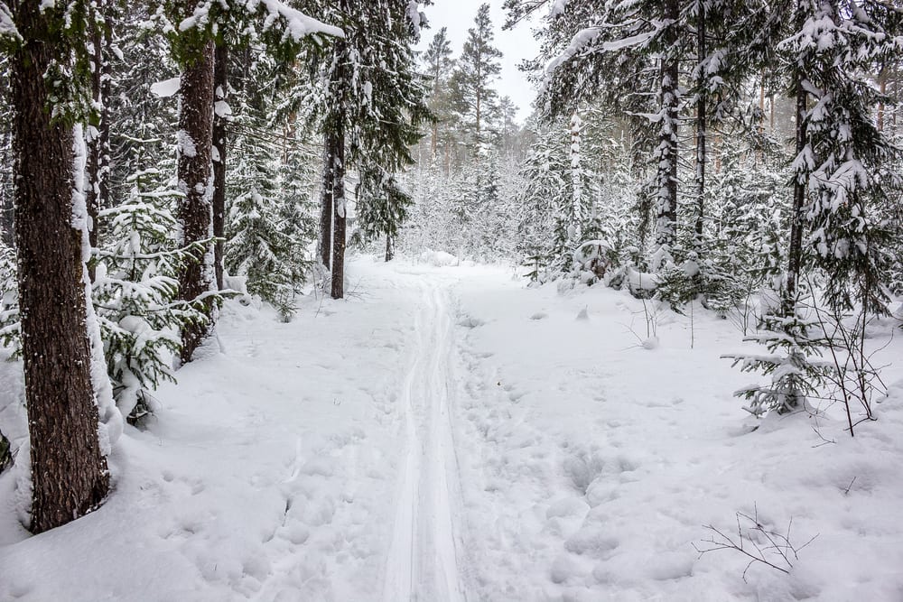 Lake Placid Cross Country Skiing