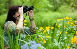Picture of woman watching for NYS birds.