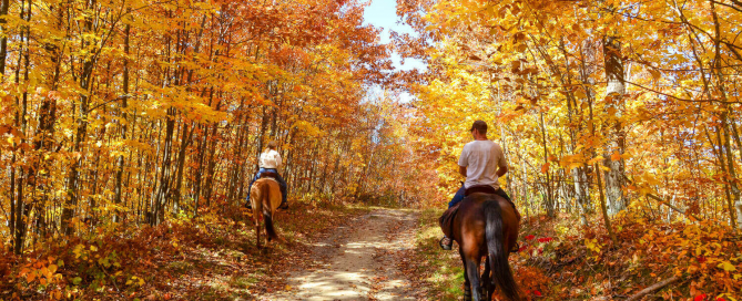 Picture of people going horseback riding near Lake Placid.