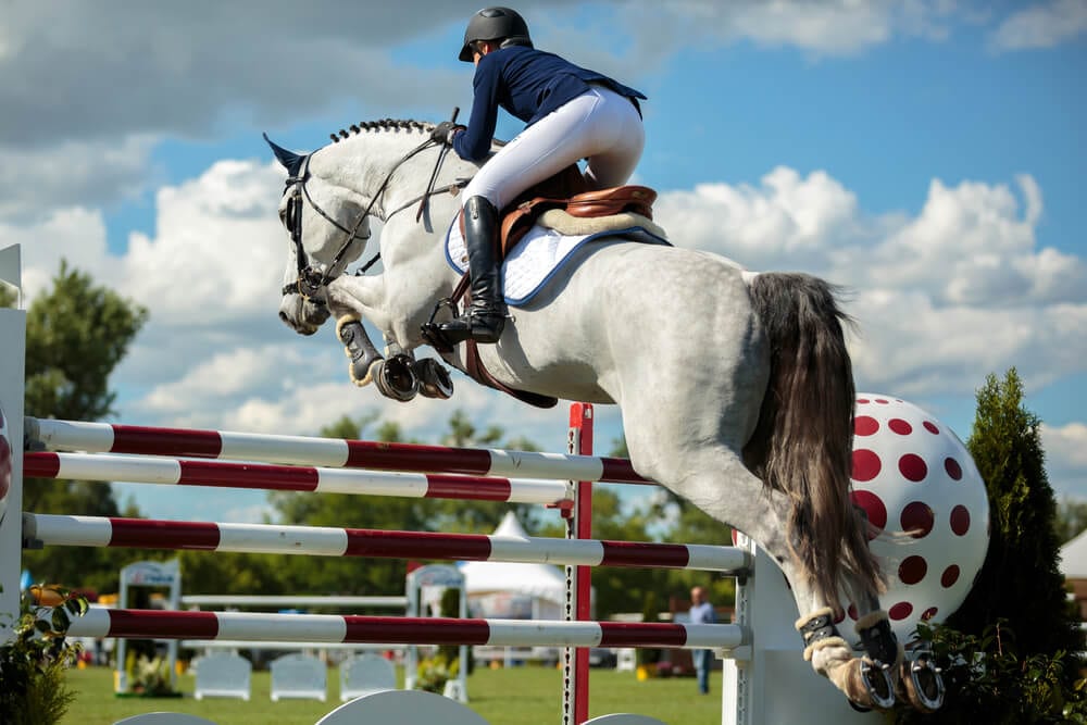 Horse Event in Lake Placid