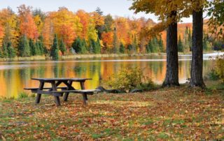 A beautiful fall picnic in New York