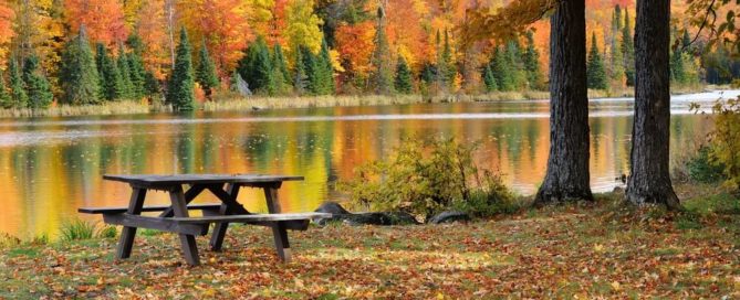 A beautiful fall picnic in New York