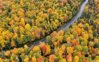 Fall foliage in the Adirondacks in Lake Placid