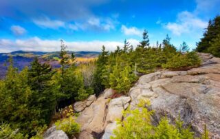 A gorgeous view of blue sky, distant mountains, and towering trees at the summit of Mount Jo